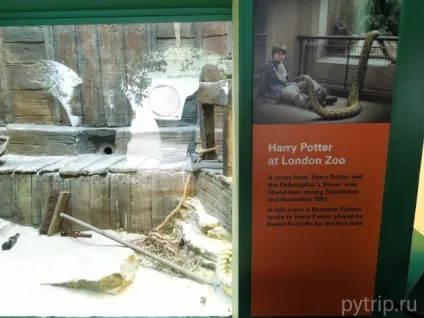 Лондонський зоопарк - царство звірів в великобританії (london zoo) Лондонський зоопарк - царство звірів в великобританії