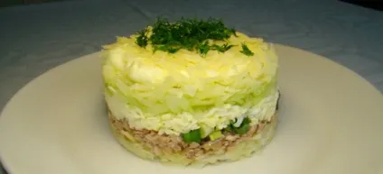Салат з консервованої сайри - рецепти з рисом, яйцем, огірком і кукурудзою (салат) Салат з консервованої сайри - рецепти з рисом, яйцем, огірком і кукурудзою