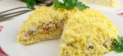 Салат з консервованої сайри - рецепти з рисом, яйцем, огірком і кукурудзою (рисом) Салат з консервованої сайри - рецепти з рисом, яйцем, огірком і кукурудзою