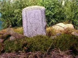 З чого почати вивчення рун слов'яно-арійські руни вивчення і отримання навичок