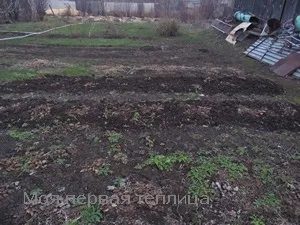 Сіємо сидерати навесні або швидка допомога грунті (допомога) Сіємо сидерати навесні або швидка допомога грунті