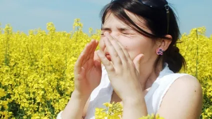 Сезонний алергічний риніт причини, симптоми, лікування (лікування) Сезонний алергічний риніт причини, симптоми, лікування