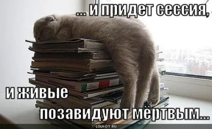 Сесія в картинках - життя - це любов () Сесія в картинках - життя - це любов