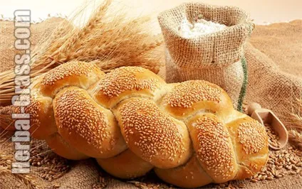 Насіння кунжуту - корисні властивості насіння, застосування кунжутного масла (кунжут) Насіння кунжуту - корисні властивості насіння, застосування кунжутного масла