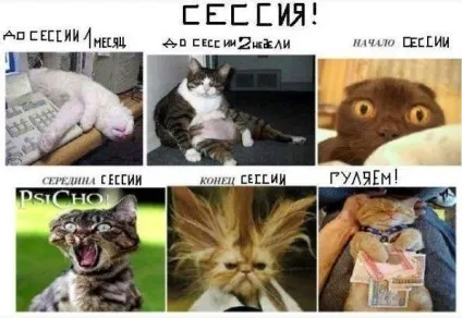 Сесія в картинках - життя - це любов () Сесія в картинках - життя - це любов