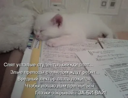 Сесія в картинках - життя - це любов () Сесія в картинках - життя - це любов