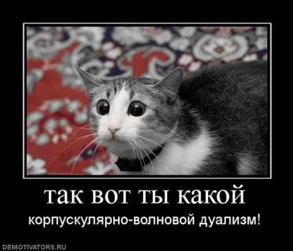 Сесія в картинках - життя - це любов () Сесія в картинках - життя - це любов