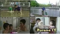 Дивитися безкоштовно дорама піклуючись про собаку (keeping a dog inu wo kau to iu koto) онлайн російською