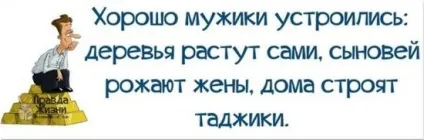 Смішні та мотивуючі фрази для підняття настрою на кожен день (смішні) Смішні та мотивуючі фрази для підняття настрою на кожен день