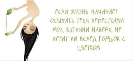 Смішні та мотивуючі фрази для підняття настрою на кожен день (підняття) Смішні та мотивуючі фрази для підняття настрою на кожен день