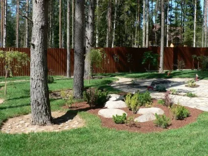 Скандинавський стиль в ландшафтному дизайні, ландшафтна студія derevo park (derevo) Скандинавський стиль в ландшафтному дизайні, ландшафтна студія derevo park