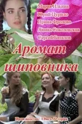 Дивитися серіал Фродо онлайн безкоштовно в хорошій якості