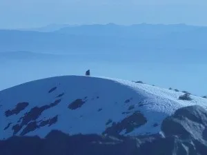 Снігова людина - фото очевидців