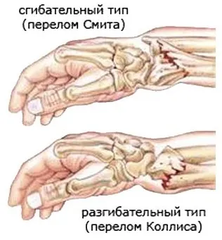 Сноуборд для початківців