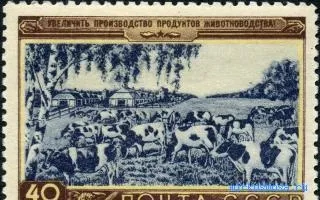 Сонник корова, тлумачення сну корова, до чого сниться і що означає сон, в якому наснилося корова (корова) Сонник корова, тлумачення сну корова, до чого сниться і що означає сон, в якому наснилося корова