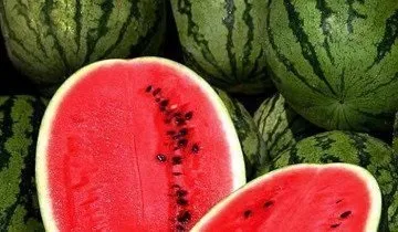 Поради агрономів як вирощувати квадратний кавун і інші види екзотів (кавун) Поради агрономів як вирощувати квадратний кавун і інші види екзотів