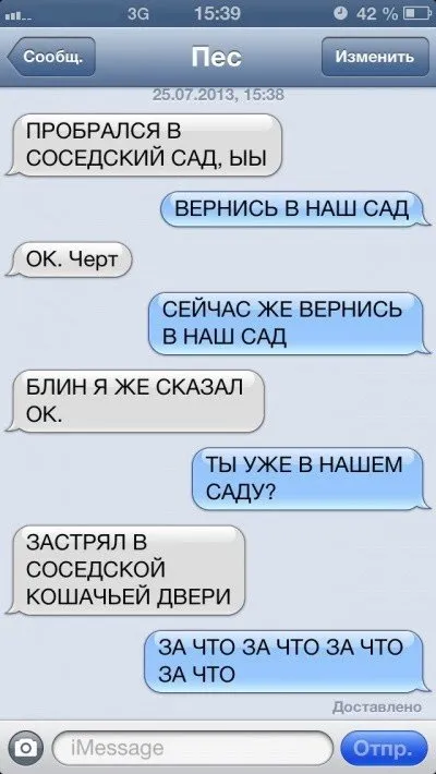 Sms-листування з собакою (47 фото) (бульдог) Sms-листування з собакою (47 фото)