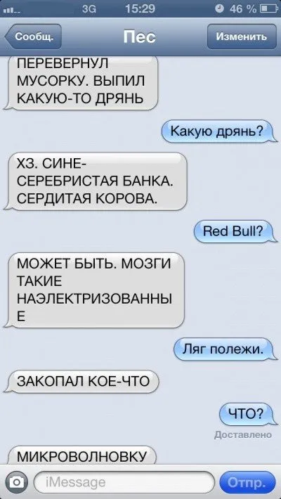 Sms-листування з собакою (47 фото) (jones) Sms-листування з собакою (47 фото)