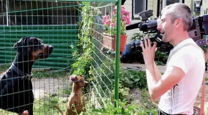 Собака на дачі забезпечуємо безпеку оточуючих (оточуючих) Собака на дачі забезпечуємо безпеку оточуючих