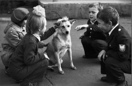 Собаки в радянському союзі (собаки) Собаки в радянському союзі