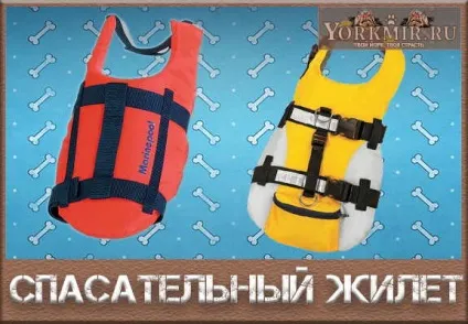 Рятувальний жилет для собак, своїми руками (жилет) Рятувальний жилет для собак, своїми руками
