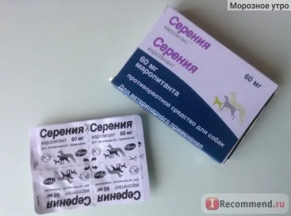 Засіб від заколисування Серені для собак - «як ми вирішили проблему заколисування собаки в машині (засіб) Засіб від заколисування Серені для собак - «як ми вирішили проблему заколисування собаки в машині