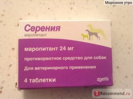 Засіб від заколисування Серені для собак - «як ми вирішили проблему заколисування собаки в машині (засіб) Засіб від заколисування Серені для собак - «як ми вирішили проблему заколисування собаки в машині