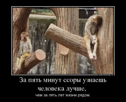 Сварки в родині, знайти спільну мову