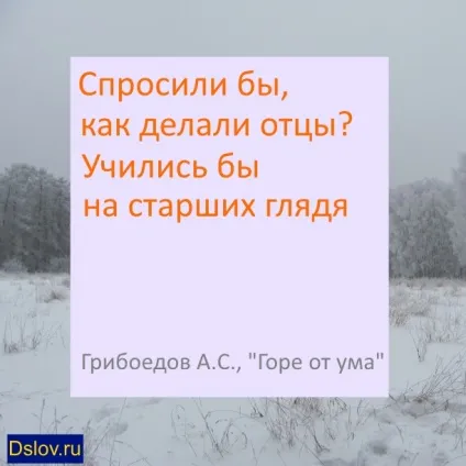 Запитали б, як робили батьки вчилися б на старших дивлячись (батьки) Запитали б, як робили батьки вчилися б на старших дивлячись