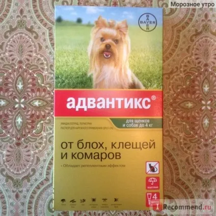 Засіб від заколисування Серені для собак - «як ми вирішили проблему заколисування собаки в машині (Серені) Засіб від заколисування Серені для собак - «як ми вирішили проблему заколисування собаки в машині