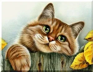 Вірші для дітей про котів, кішок і кошенят, дитячі вірші (котів) Вірші для дітей про котів, кішок і кошенят, дитячі вірші