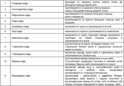 Будова тонкого тіла людини (тіла) Будова тонкого тіла людини