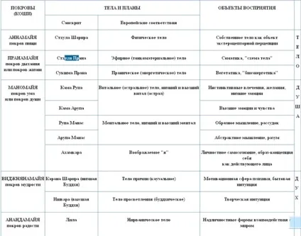 Будова тонкого тіла людини (тіла) Будова тонкого тіла людини