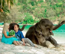 Весільна церемонія в Таїланді - весілля в Таїланді art wedding phuket (весільна) Весільна церемонія в Таїланді - весілля в Таїланді art wedding phuket