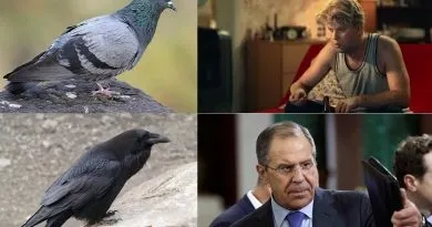 Світлана Мандрикова вміє створювати еталон краси (світла) Світлана Мандрикова вміє створювати еталон краси