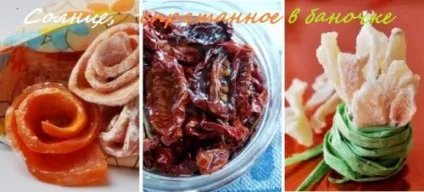 Сушарка для овочів і фруктів - 3 кращих рецепта заготовок на зиму для сушарки і 10 цікавих ідей (заготовки на зиму салати) Сушарка для овочів і фруктів - 3 кращих рецепта заготовок на зиму для сушарки і 10 цікавих ідей