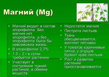 Сульфат магнію для рослин як використовувати і навіщо (магнію) Сульфат магнію для рослин як використовувати і навіщо
