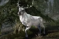 Tes v skyrim - поклик місяця