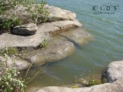 Властивості жорсткої води хімічні (жорсткої) Властивості жорсткої води хімічні