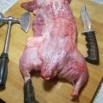 Тонкощі полювання на ондатру з самоловами і зброєю - поради досвідченого мисливця (ондатру) Тонкощі полювання на ондатру з самоловами і зброєю - поради досвідченого мисливця