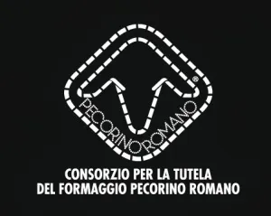 The best guide, італійський сир pecorino romano (trentin) (romano) The best guide, італійський сир pecorino romano (trentin)