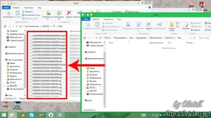 The sims 4 експорт симов і лотів