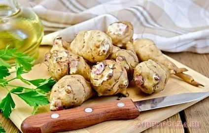 Топінамбур користь і шкода (топінамбур користь шкоду харчова цінність склад рекомендації протипоказання властивості лактації грудне вигодовування готувати вживати зберігати) Топінамбур користь і шкода