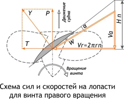 Типи гребних гвинтів, їх характеристика і пристрій (швидкість повним навантаженням) Типи гребних гвинтів, їх характеристика і пристрій
