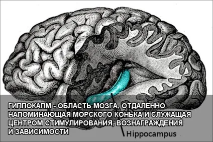 Марихуана тютюн що виходить в сумі (тютюн) Марихуана тютюн що виходить в сумі