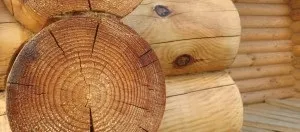 Тріщини в колоді способи усунення (колоді) Тріщини в колоді способи усунення