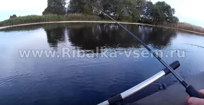 Твістери на окуня