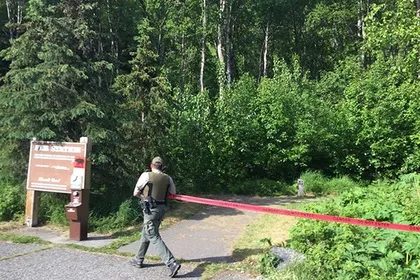 Учасник забігу на Аляски відправив смс і був загриз ведмедем події з життя (забігу) Учасник забігу на Аляски відправив смс і був загриз ведмедем події з життя