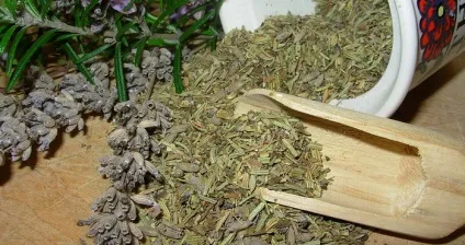 Трава, квітка майоран садовий корисні властивості, вирощування, застосування і фото майорану (властивості) Трава, квітка майоран садовий корисні властивості, вирощування, застосування і фото майорану