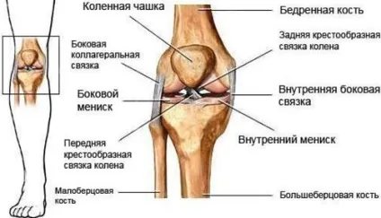 Травми колінного суглоба лікування, ЛФК та гімнастика при реабілітації після травми суглоба коліна (колінного) Травми колінного суглоба лікування, ЛФК та гімнастика при реабілітації після травми суглоба коліна